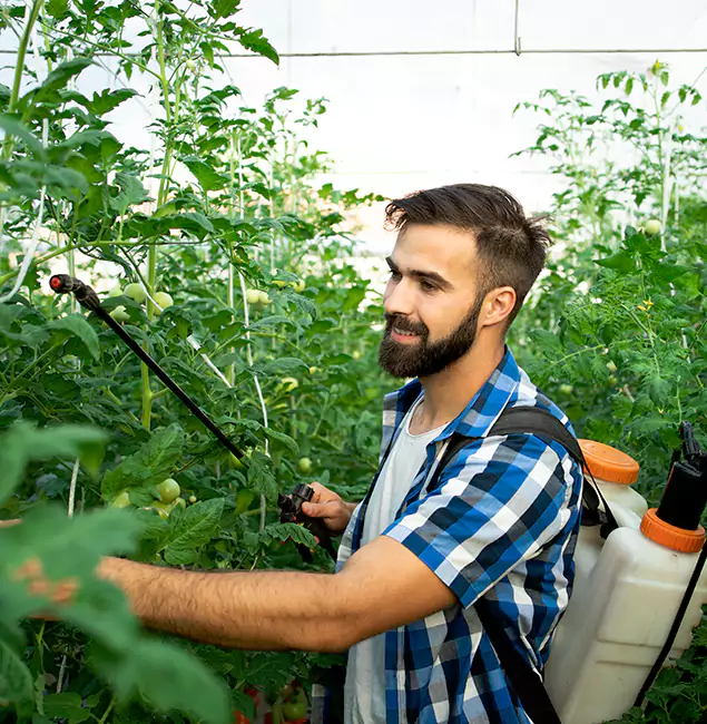 Why Fairfax Station Homeowners Choose Fairfax Station Pest Control Pro for Mosquito Spraying?