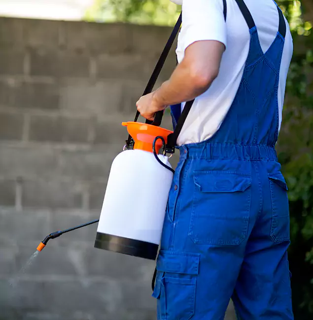 Why Fairfax Station Pest Control Pro Delivers the Best Mosquito Control in Fairfax Station, VA?