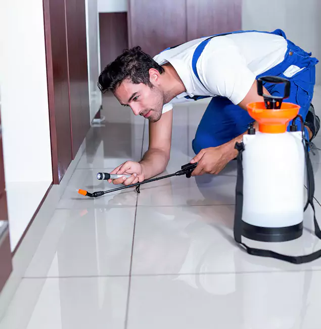 Why Fairfax Station Pest Control Pro Is the Proven Choice in Fairfax Station, VA?
