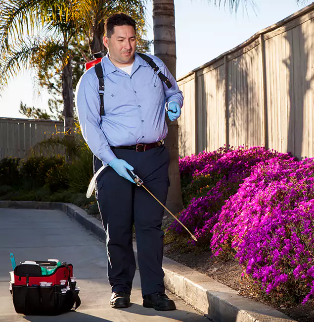 Why Choose Fairfax Station Pest Control Pro in Fairfax Station, VA?