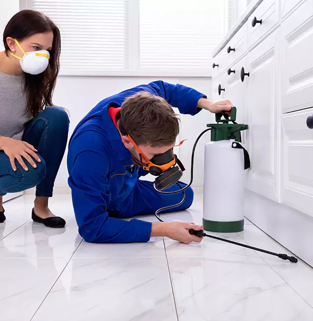 Why Choose Fairfax Station Pest Control Pro in Fairfax Station, VA?