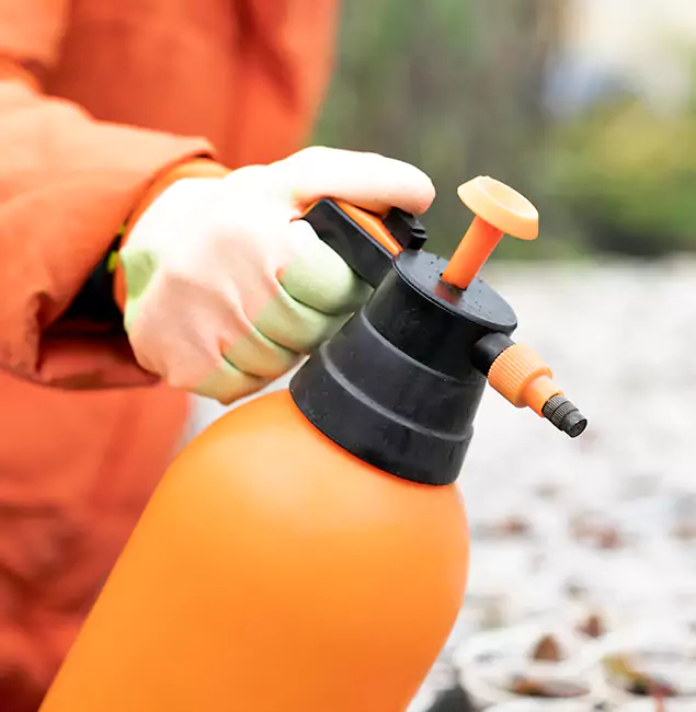 Why Choose Fairfax Station Pest Control Pro for Orange Termite Treatment in Fairfax Station, VA?
