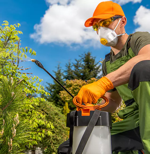Why Choose Fairfax Station Pest Control Pro for Outdoor Pest Control in Fairfax Station, VA?