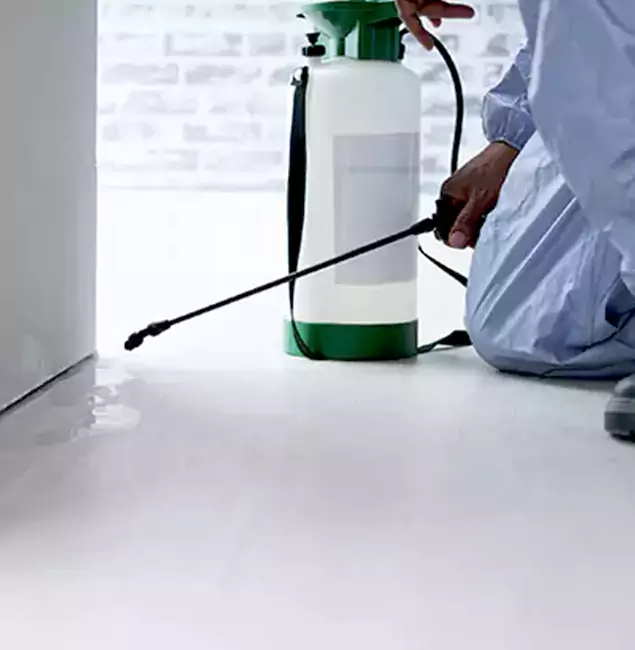 Why Choose Fairfax Station Pest Control Pro for Rat Exterminator in Fairfax Station, VA?