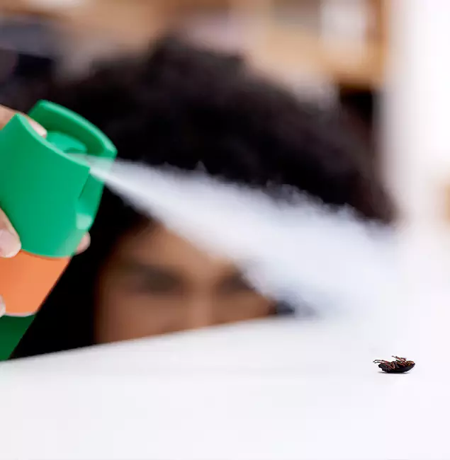 Why Fairfax Station, VA Homeowners Choose Fairfax Station Pest Control Pro for Roach Pest Control?