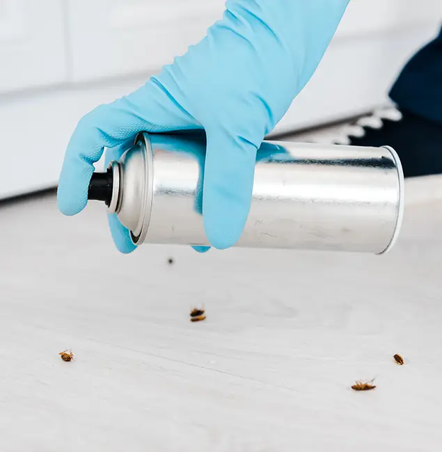 Why Choose Fairfax Station Pest Control Pro for Safe Bed Bug Treatment in Fairfax Station, VA?