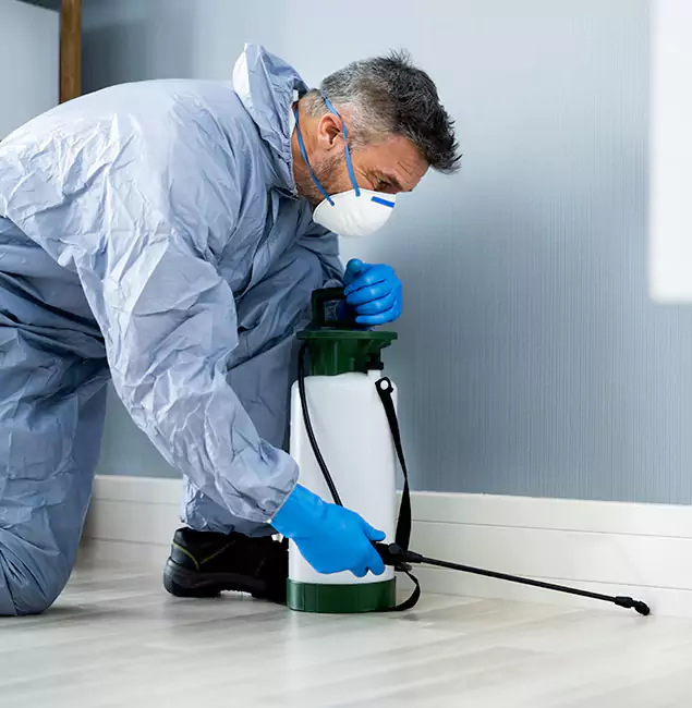Why Choose Fairfax Station Pest Control Pro for Subterranean Termites Treatment in Fairfax Station, VA?