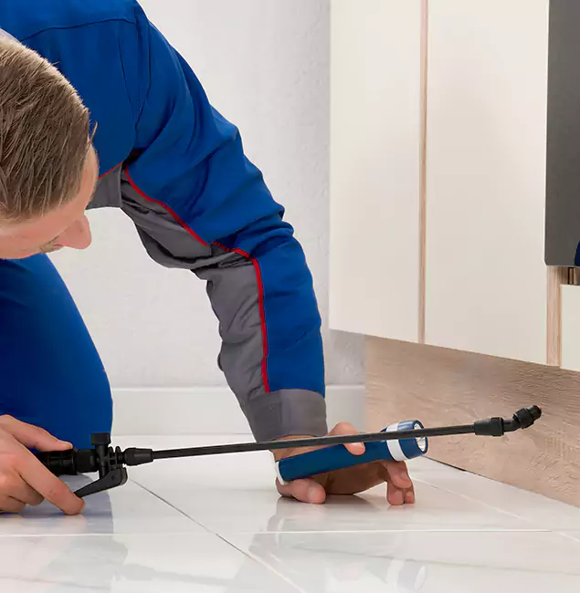 Why Fairfax Station Residents Choose Fairfax Station Pest Control Pro to Get Rid of Sugar Ants?
