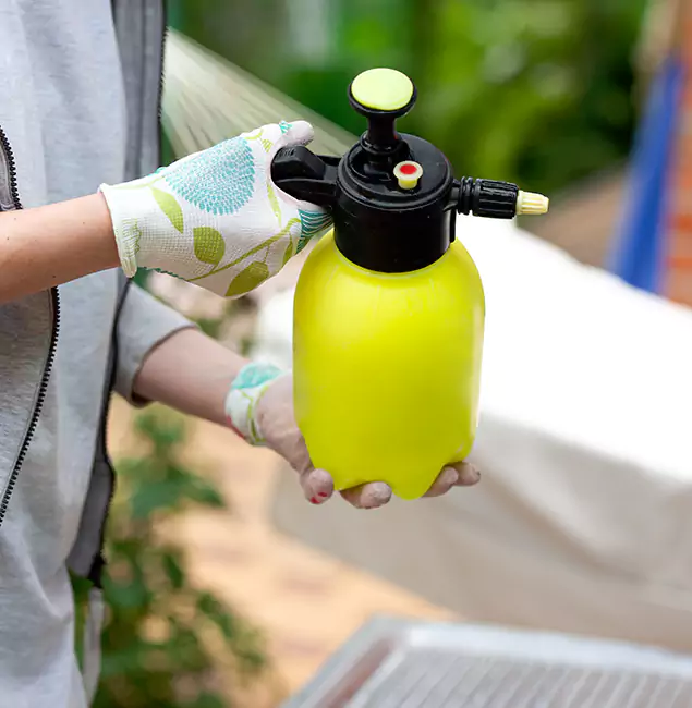 Why Choose Us: Fairfax Station Pest Control Pro Termite Spraying Experts in Fairfax Station, VA?