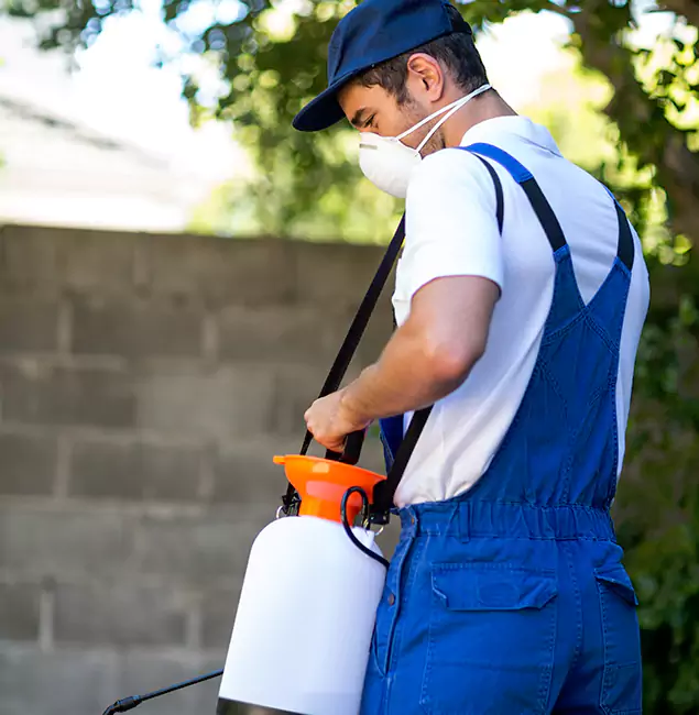Why Fairfax Station Pest Control Pro Is the Right Choice for Yellow Jacket Removal in Fairfax Station, VA?