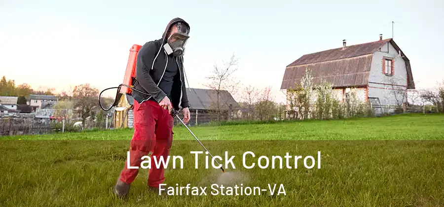 Lawn Tick Control Fairfax Station-VA