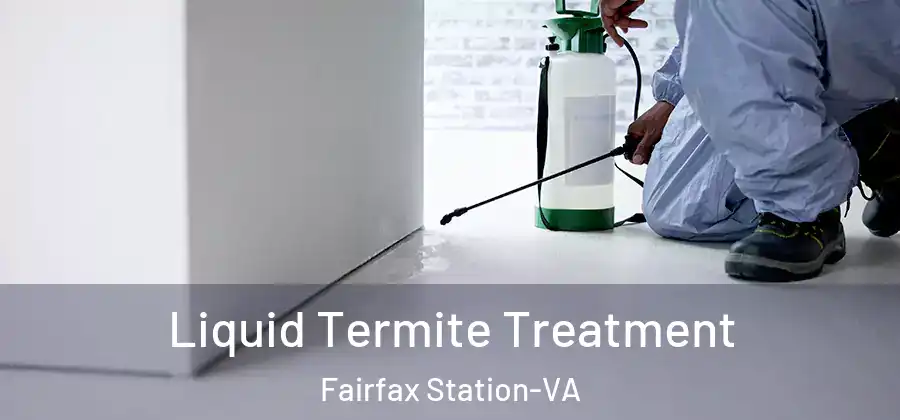 Liquid Termite Treatment Fairfax Station-VA