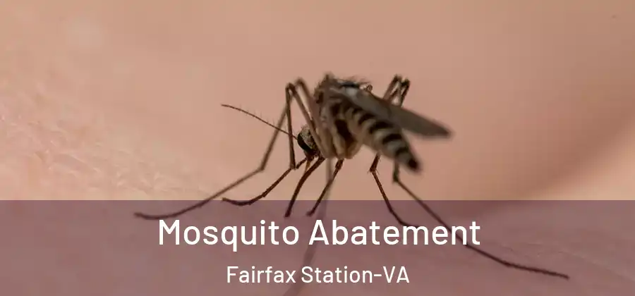 Mosquito Abatement Fairfax Station-VA