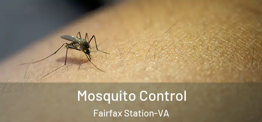 Mosquito Control Fairfax Station-VA
