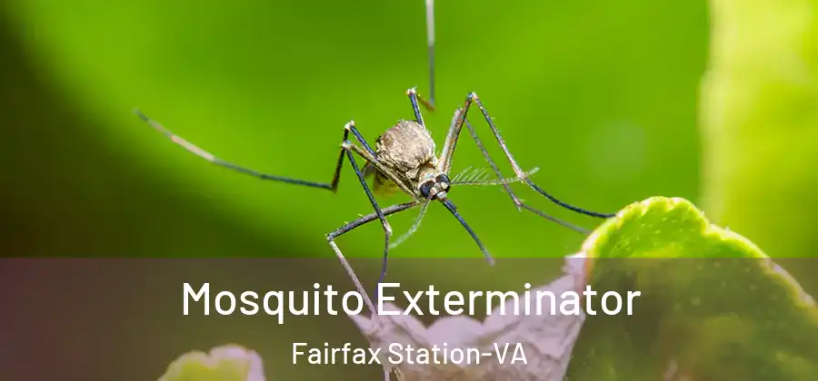 Mosquito Exterminator Fairfax Station-VA