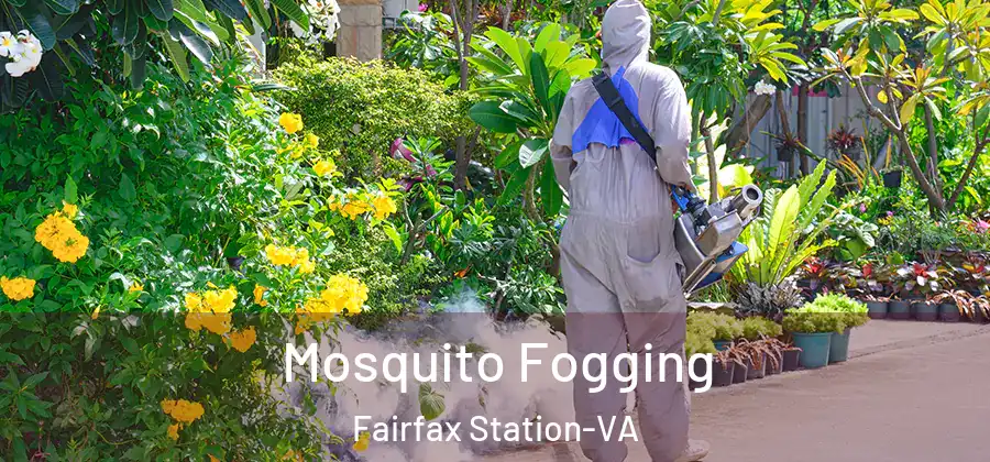 Mosquito Fogging Fairfax Station-VA