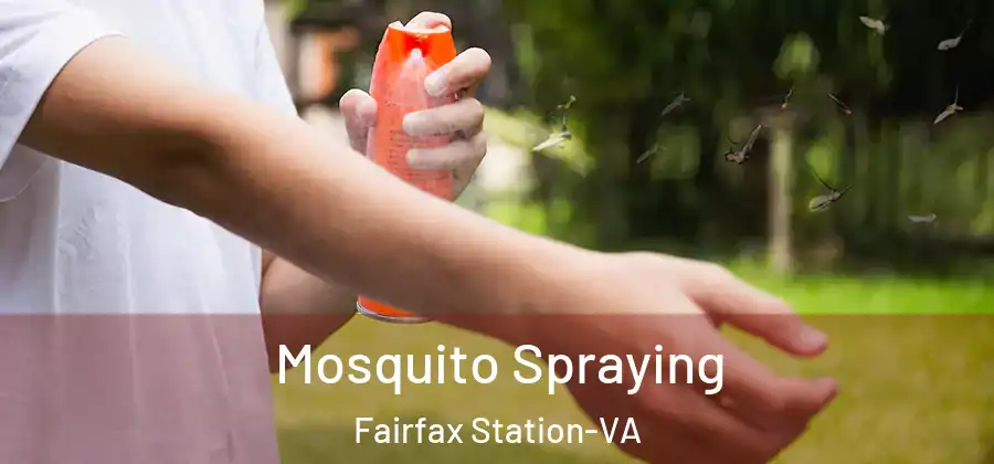 Mosquito Spraying Fairfax Station-VA