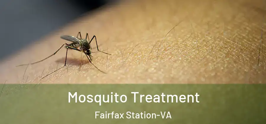Mosquito Treatment Fairfax Station-VA