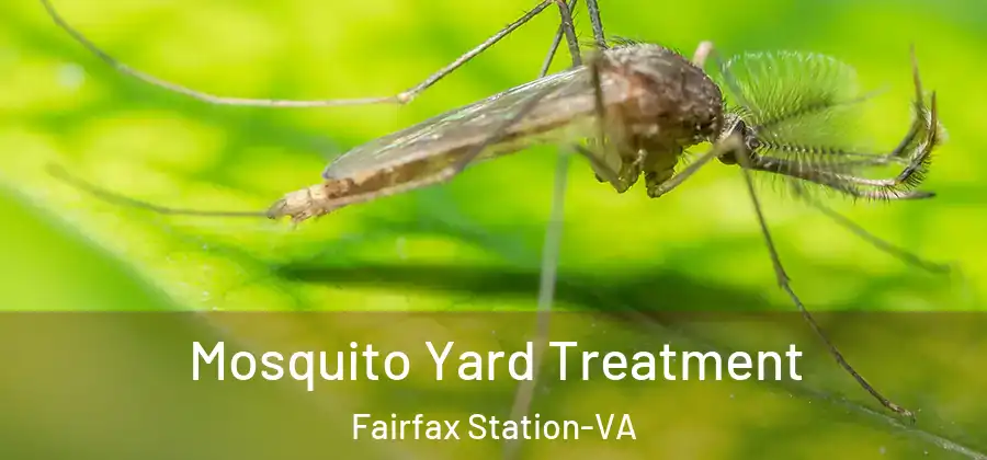 Mosquito Yard Treatment Fairfax Station-VA