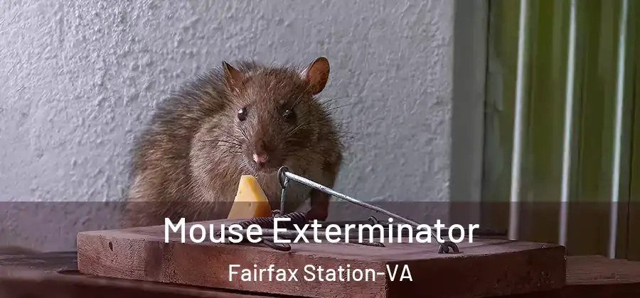 Mouse Exterminator Fairfax Station-VA