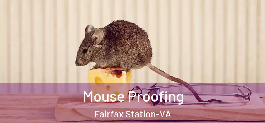Mouse Proofing Fairfax Station-VA