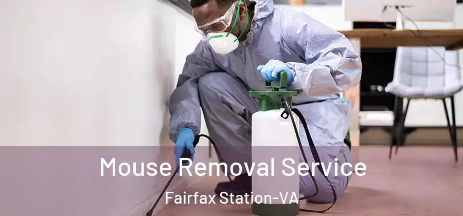 Mouse Removal Service Fairfax Station-VA