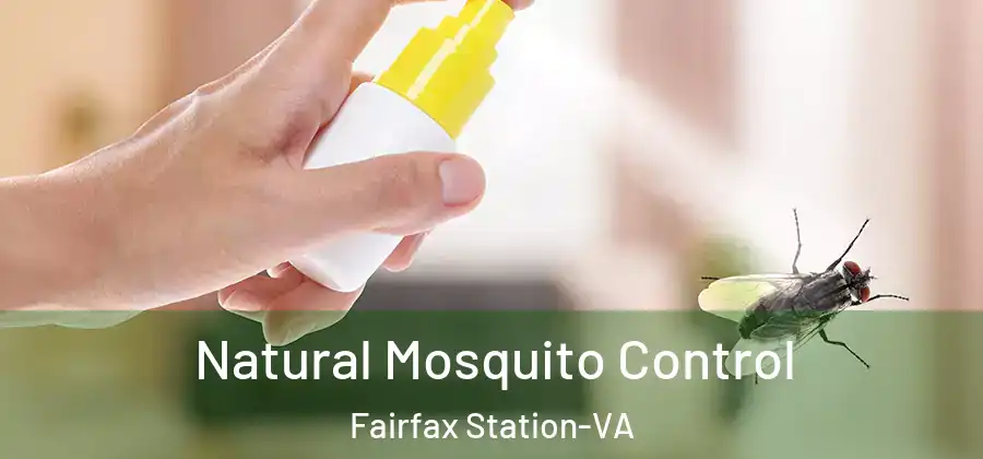 Natural Mosquito Control Fairfax Station-VA