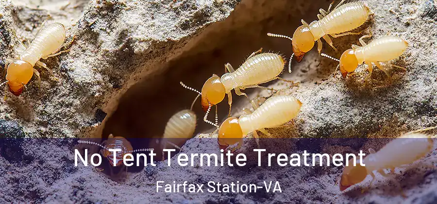 No Tent Termite Treatment Fairfax Station-VA