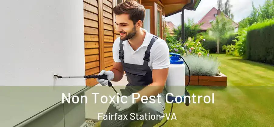 Non Toxic Pest Control Fairfax Station-VA