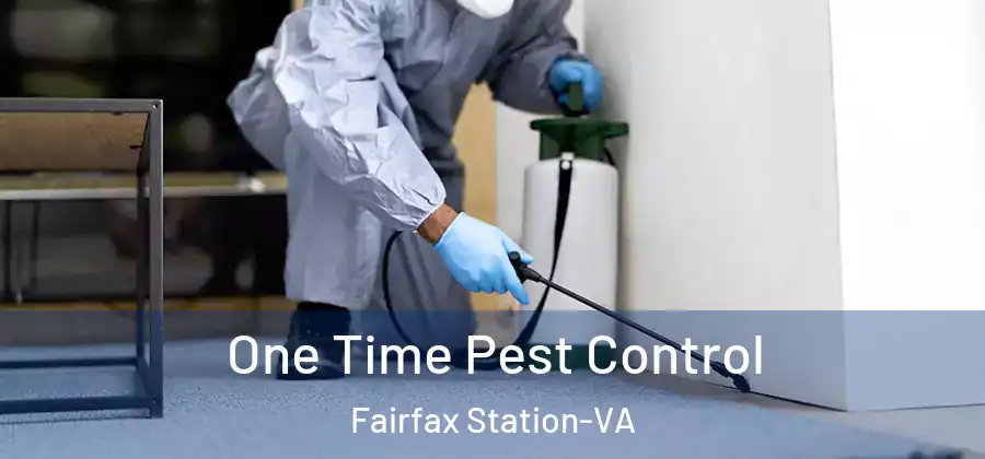 One Time Pest Control Fairfax Station-VA