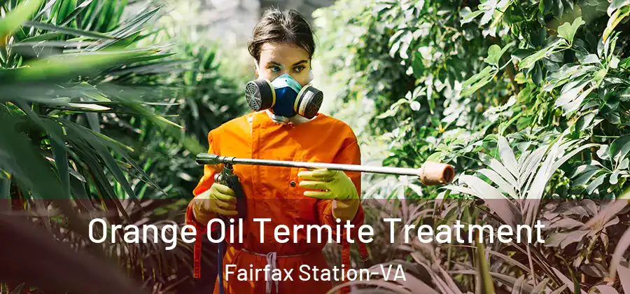 Orange Oil Termite Treatment Fairfax Station-VA