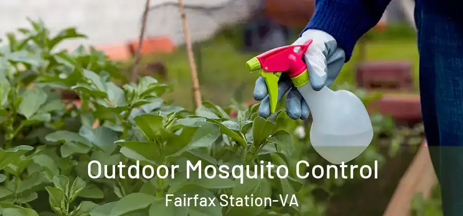 Outdoor Mosquito Control Fairfax Station-VA