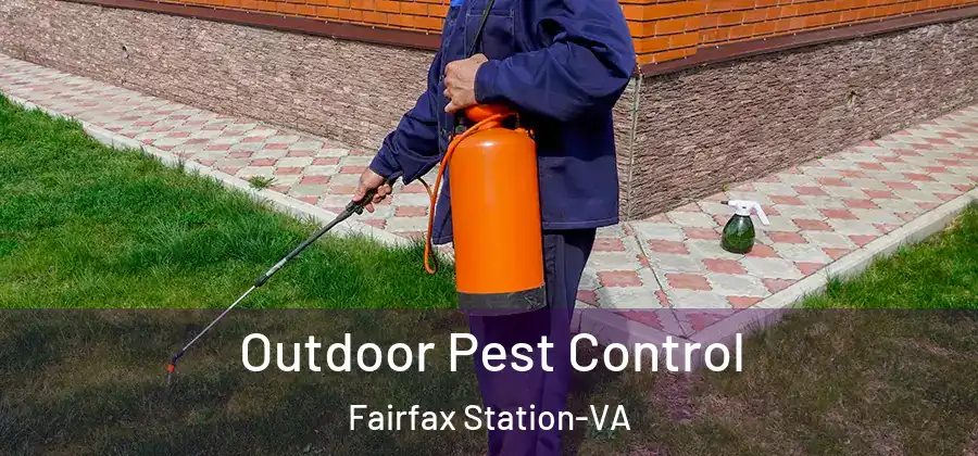 Outdoor Pest Control Fairfax Station-VA