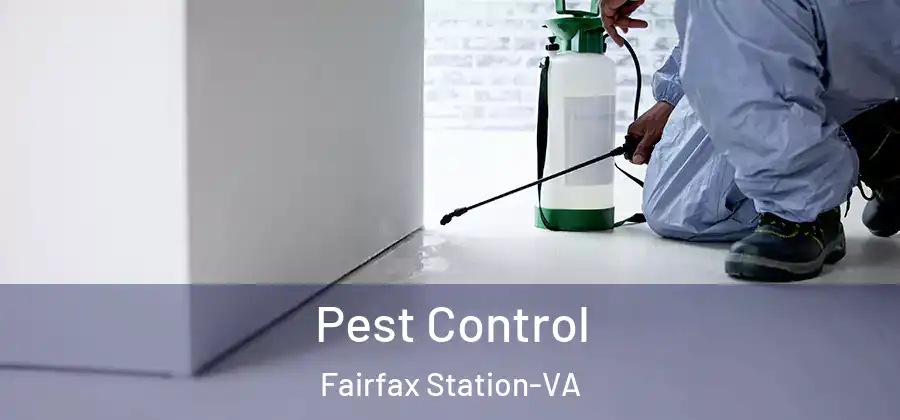  Pest Control Fairfax Station-VA