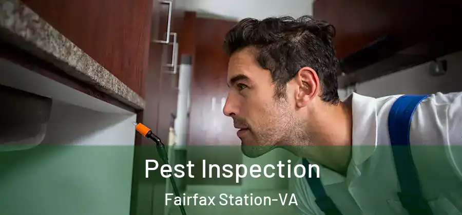 Pest Inspection Fairfax Station-VA