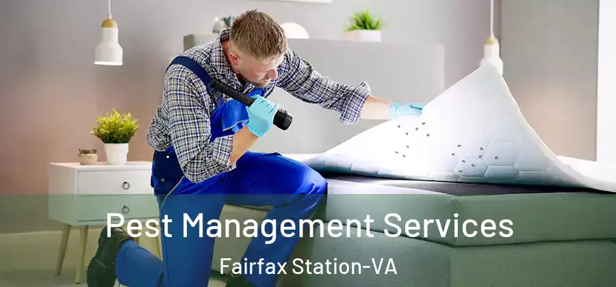 Pest Management Services Fairfax Station-VA
