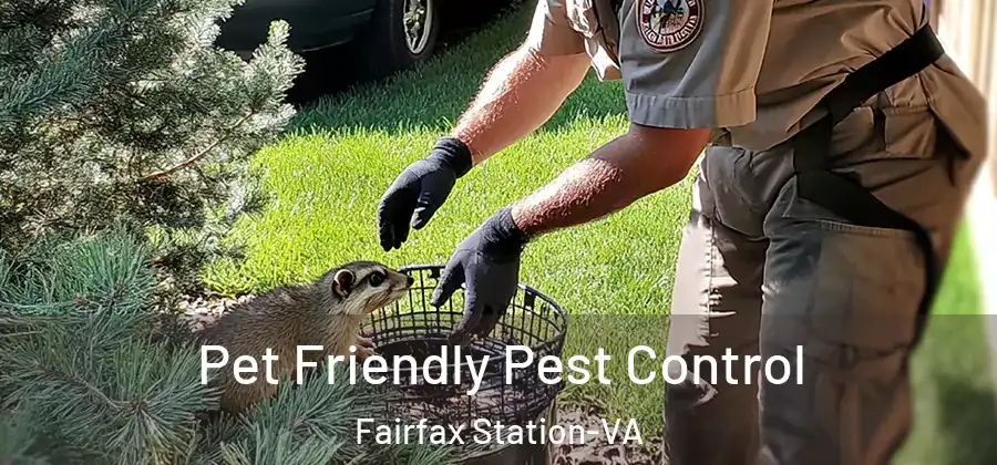 Pet Friendly Pest Control Fairfax Station-VA