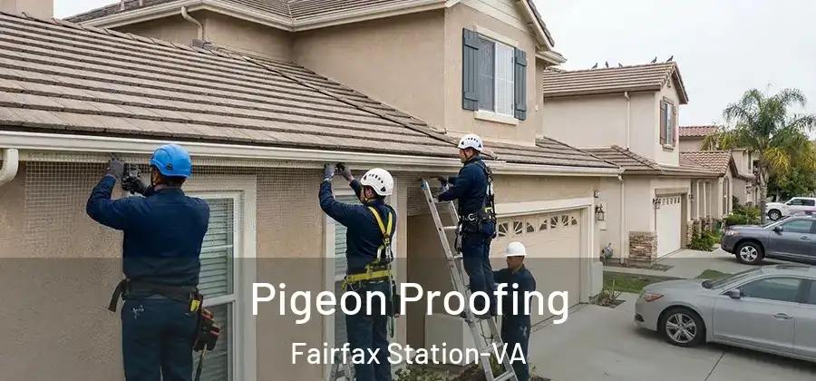 Pigeon Proofing Fairfax Station-VA