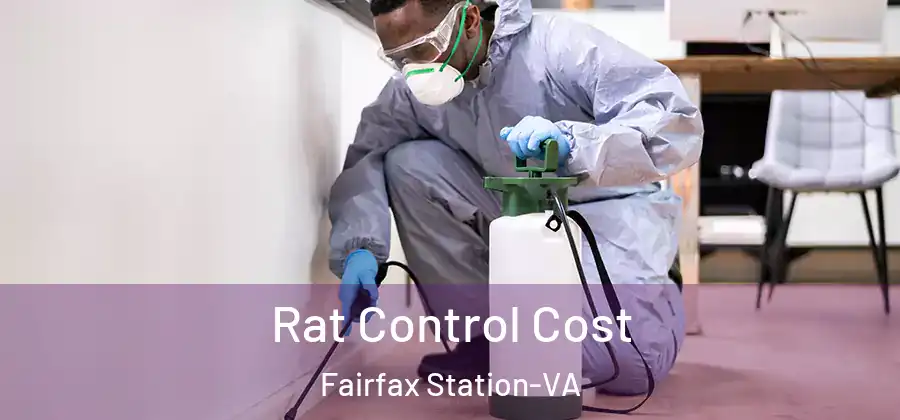 Rat Control Cost Fairfax Station-VA