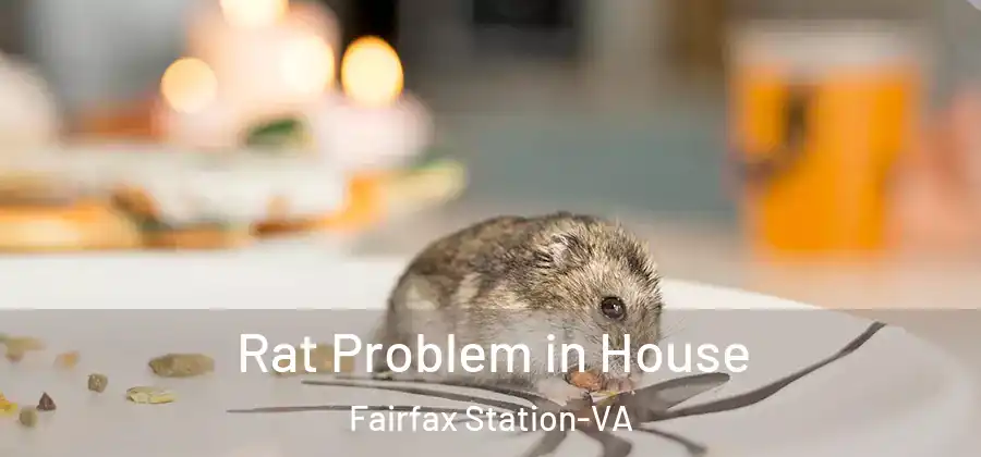 Rat Problem in House Fairfax Station-VA