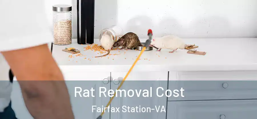 Rat Removal Cost Fairfax Station-VA