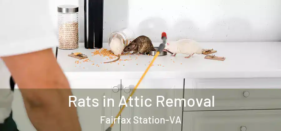  Rats in Attic Removal Fairfax Station-VA