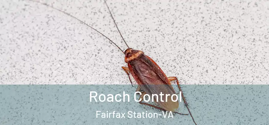 Roach Control Fairfax Station-VA