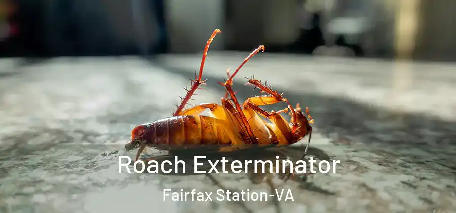 Roach Exterminator Fairfax Station-VA