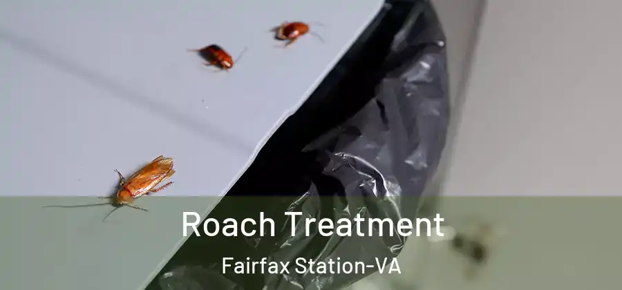 Roach Treatment Fairfax Station-VA