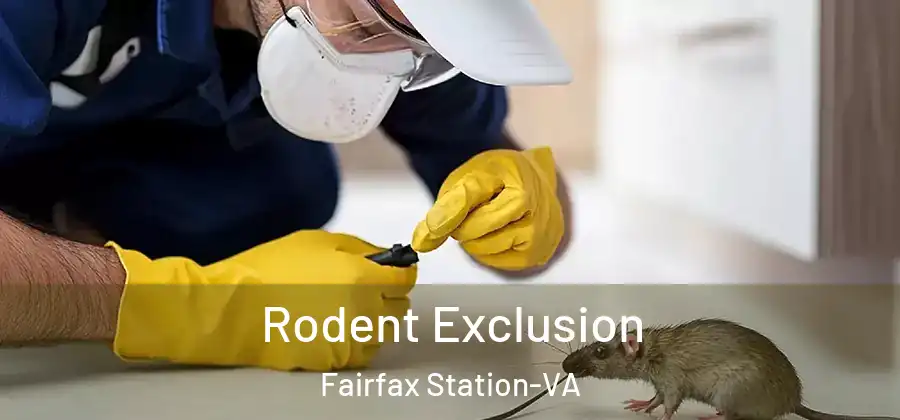 Rodent Exclusion Fairfax Station-VA