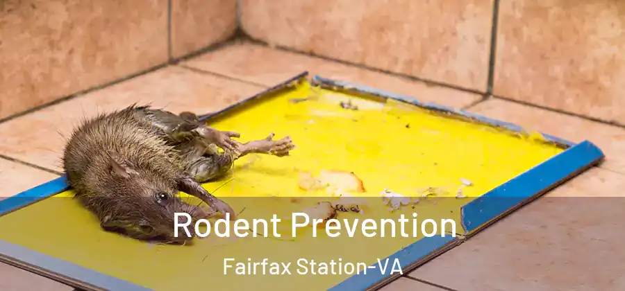 Rodent Prevention Fairfax Station-VA