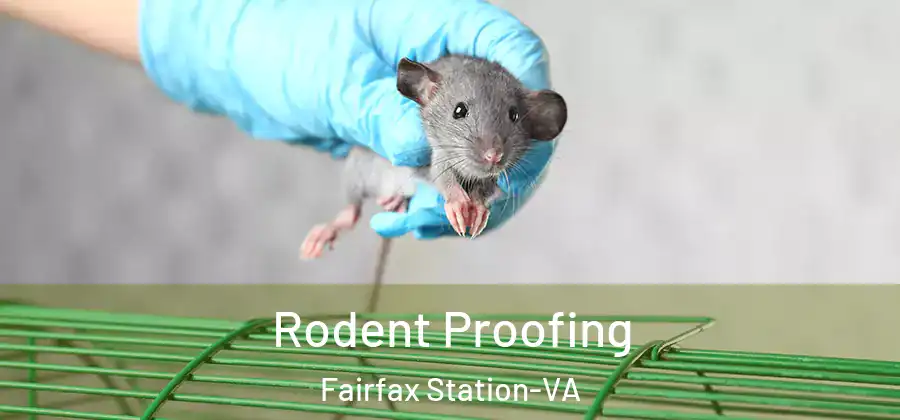  Rodent Proofing Fairfax Station-VA