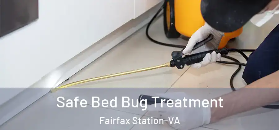 Safe Bed Bug Treatment Fairfax Station-VA