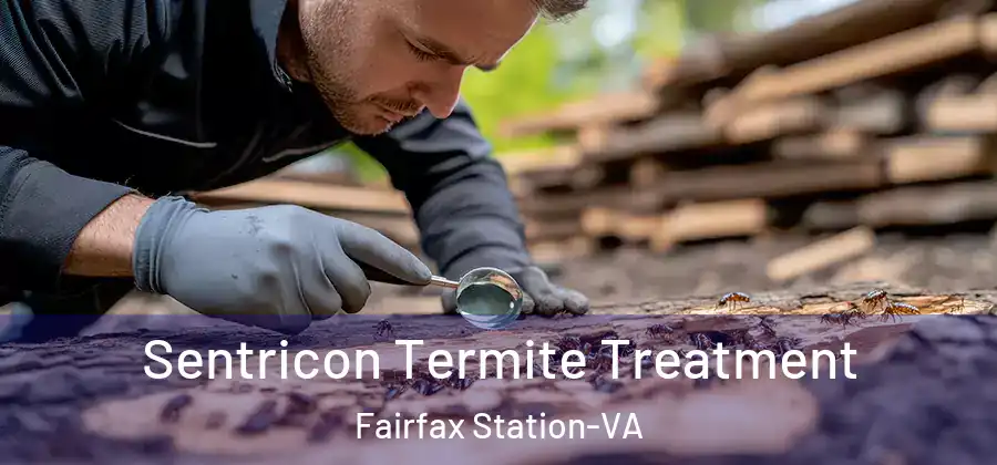  Sentricon Termite Treatment Fairfax Station-VA